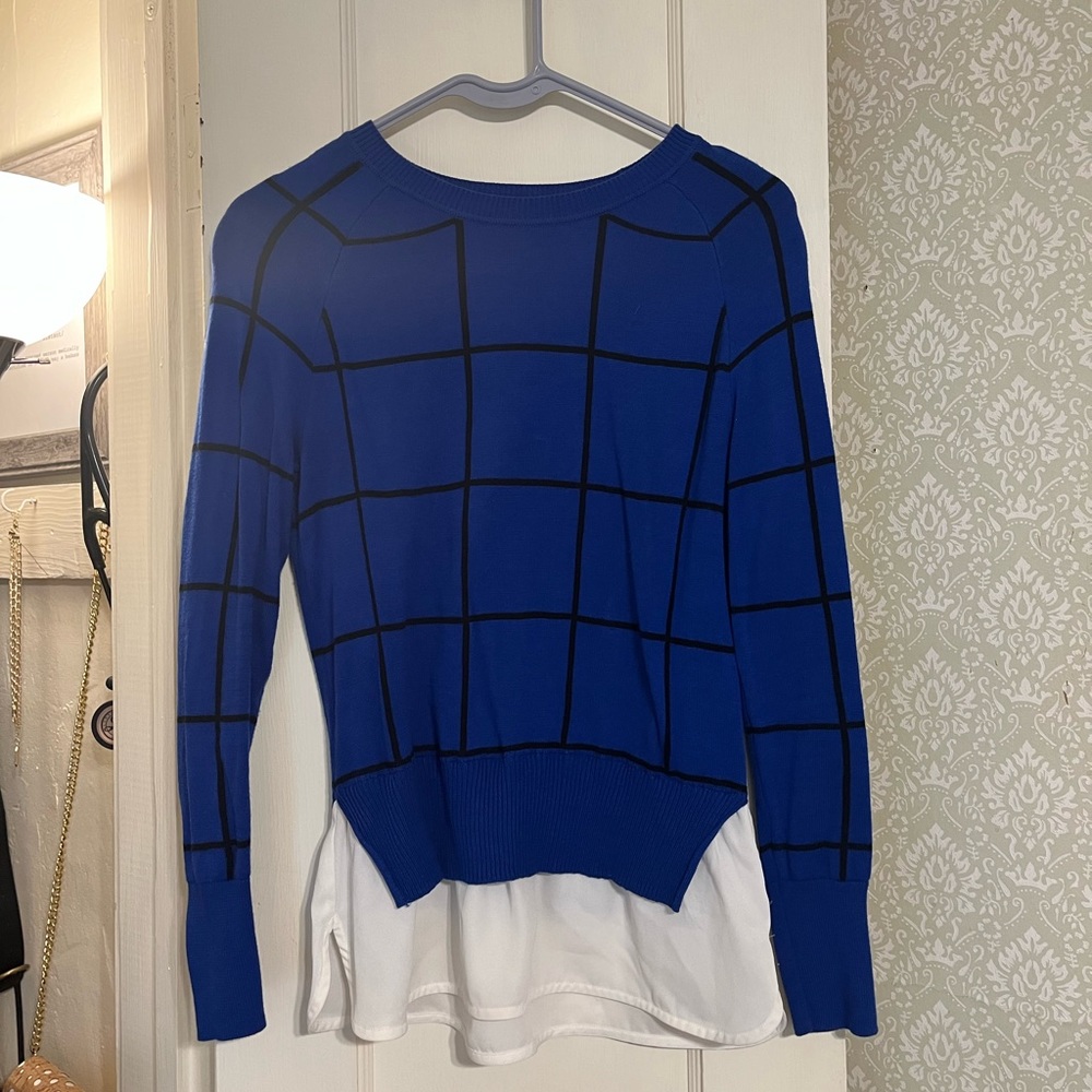 The Limited sweater